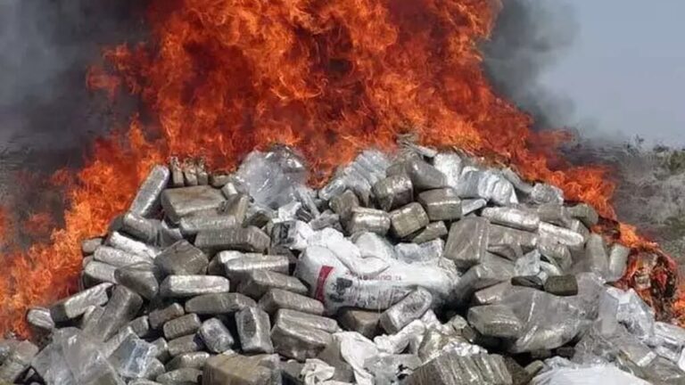 Las PGR incinera 355 kilos de drogas incautadas 7 | Noticias de hoy en República Dominicana WhatsApp Image 2024 05 31 at 11.32.04 AM | Noticias de hoy en De Último Minuto