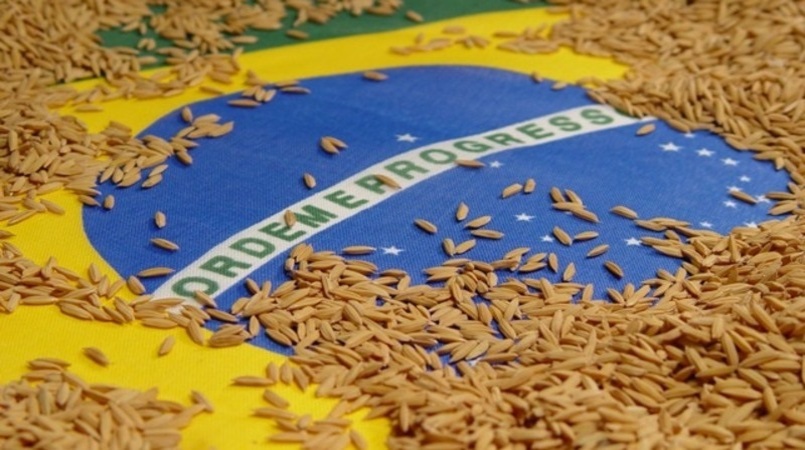 Brasil importará un millón de toneladas de arroz por los daños causados por inundaciones