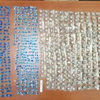 DNCD decomisa más de 296 mil gramos de drogas