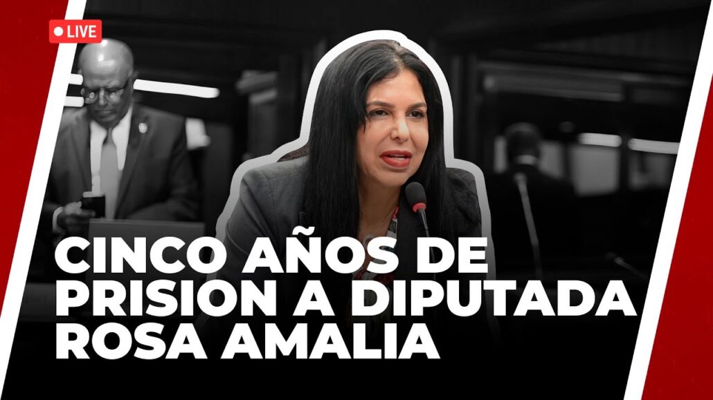 Cinco años de prisión a diputada Rosa Amalia | Noticias de Último Minuto - 28.05.2024
