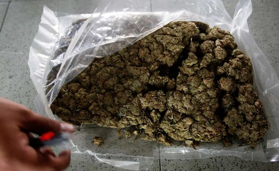 Policía se incauta de 260 paquetes de marihuana y detiene a dos personas en Ecuador