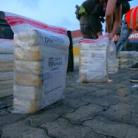Incautan 371 paquetes de cocaína en contenedores de miel