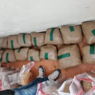 Desmantelan red en Santiago; apresan tres y confiscan más de 500 libras de presunta marihuana
