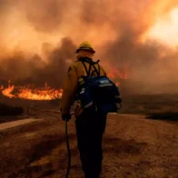 Evacúan 1,200 personas por un incendio forestal en las afueras de Los Ángeles