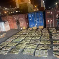 Incautan 33 kilos de cocaína en contenedor con fruta que salía de Costa Rica hacia Bélgica