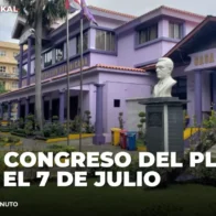 PLD busca reinventarse con nuevo Congreso | Politikal