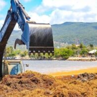 Amenazas al desarrollo turístico en Boca Chica: Llegada de sargazo y residuos solidos