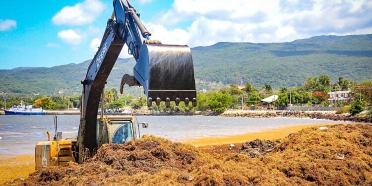 Amenazas al desarrollo turístico en Boca Chica: Llegada de sargazo y residuos solidos
