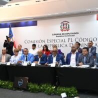 Comisión Especial de la Cámara de Diputados escuchó opiniones de más de 100 personas sobre el Código Penal