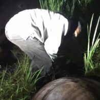 Un muerto y dos heridos al chocar con una vaca en comunidad de Azua