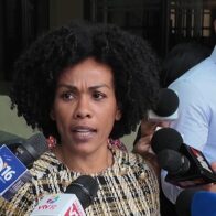 Fiordaliza Peguero: diputados deben aprobar el Código Penal "como vino del Senado"