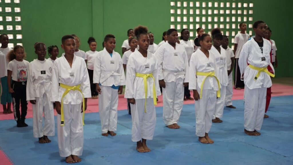 Taekwondo