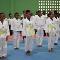 Taekwondo