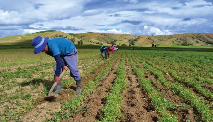 Agricultura