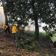 Bomberos de Medio Ambiente combaten incendio forestal en la Cienaguita