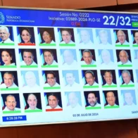 Senado aprueba Código Penal que sanciona el bullying, feminicidio, sicariato y fija cúmulo pena en 60 años