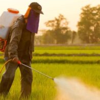 EE.UU. suspende el uso de un pesticida por peligros contra la salud
