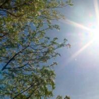 Ambiente caluroso y soleado predominará este miércoles
