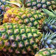 Desarticulada en España red que introducía cocaína en cajas de piñas