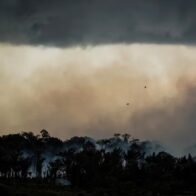 Brasil perdió el 33 % de sus áreas naturales hasta 2023, según estudio