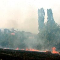 Varios incendios forestales queman cientos de hectáreas de vegetación en Serbia
