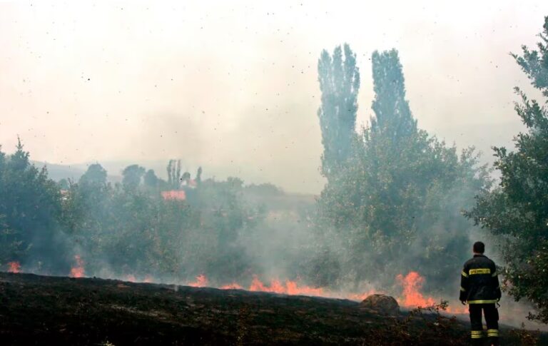 Varios incendios forestales queman cientos de hectáreas de vegetación en Serbia