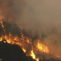 Sofocan el peor incendio forestal del verano en España, tras quemar 2.500 hectáreas