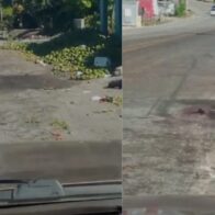 Rastros de sangre y los aguacates del camión que se estrelló en Azua permanecen en la zona