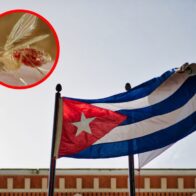 El Gobierno cubano reconoce cerca de 12.000 casos sospechosos de oropouche
