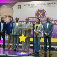 PLD ofrece colaboración técnica para resolver crisis eléctrica en el país
