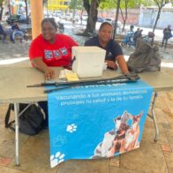 Ciudadanos acogen llamado de Salud Pública para vacunar a mascotas contra la Rabia