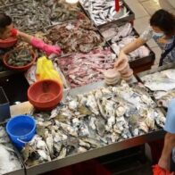 Nuevo estudio corrobora el origen del covid en un mercado chino de pescado