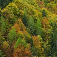 Imagen externa. El cambio climático amenaza "procesos planetarios vitales", avisa nuevo informe científico