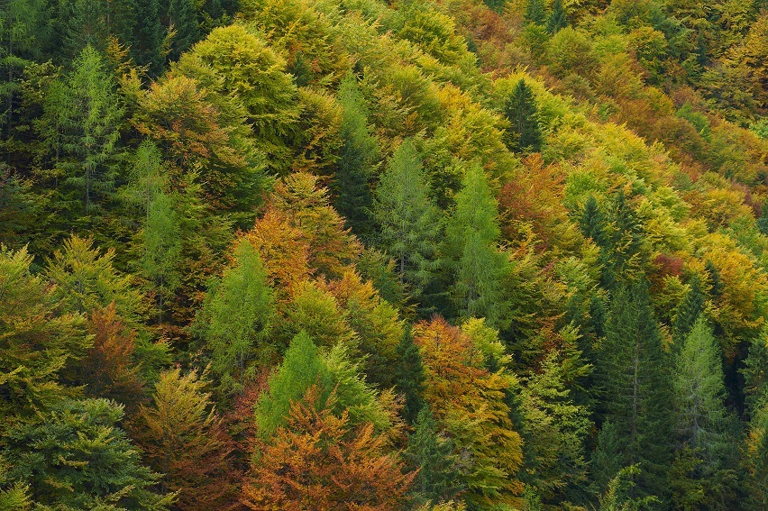 Imagen externa. El cambio climático amenaza "procesos planetarios vitales", avisa nuevo informe científico