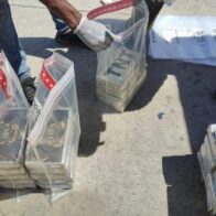 Frustran envío de 62 paquetes presumiblemente cocaína a Bruselas