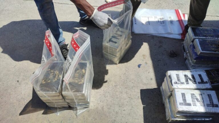 Frustran envío de 62 paquetes presumiblemente cocaína a Bruselas
