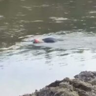 Hallan cadáver en playita del río Yuna, zona de La Isleta