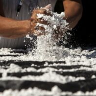 ¿Por qué gustan tanto los carbohidratos? 