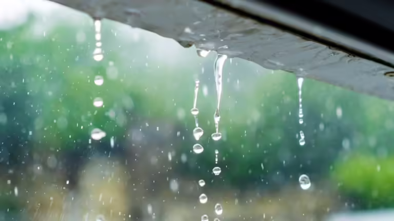 Indomet alerta sobre lluvias moderadas y descenso de temperaturas por frente frío y vaguada 7 | Noticias de hoy en República Dominicana Indomet alerta sobre lluvias moderadas y descenso de temperaturas por frente frío y vaguada