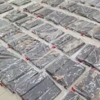 Santiago: Confiscan 880 láminas presumiblemente cocaína camufladas en cajas de cartón