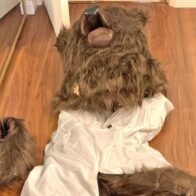 Cuatro detenidos en EEUU por simular ataques de un oso a sus autos para cobrar al seguro