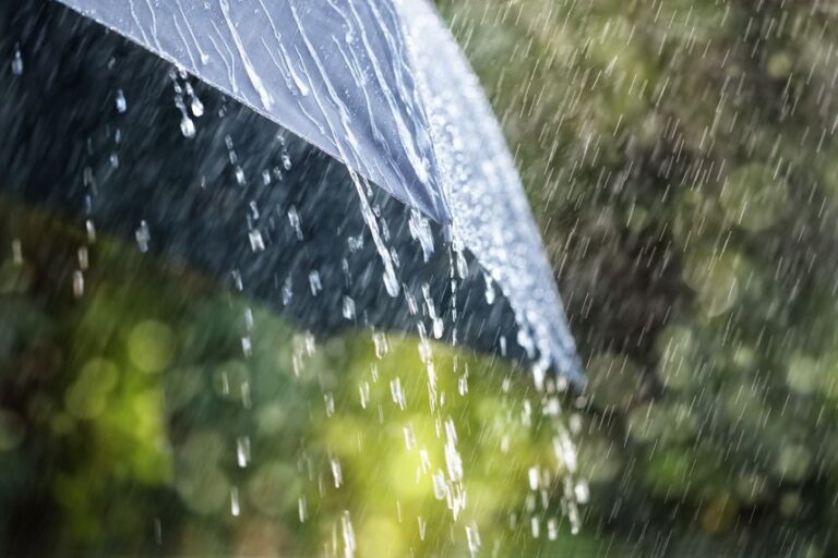 Tormenta tropical Rafael y vaguada provocarán fuertes lluvias en el país 11 | Noticias de hoy en República Dominicana IMG 3803 1 | Noticias de hoy en De Último Minuto