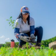 Edesur siembra 2,000 plantas en jornada de reforestación en San Cristóbal
