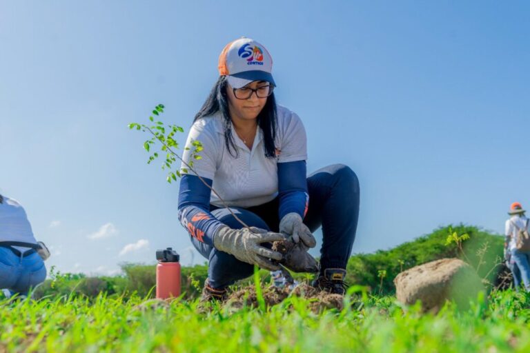 Edesur siembra 2,000 plantas en jornada de reforestación en San Cristóbal