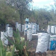 Medio Ambiente y SENPA incautan 215 sacos de carbón vegetal en Tabara Abajo