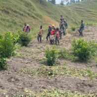 Detienen a 13 nacionales haitianos por afectar zonas de la Presa Sabaneta