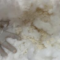 Iban a Francia: Descubren dos cojines rellenos de fibras de cocaína