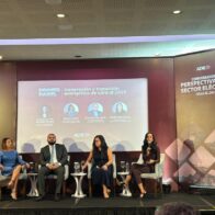 Expertos discuten la transformación del sector eléctrico en la República Dominicana