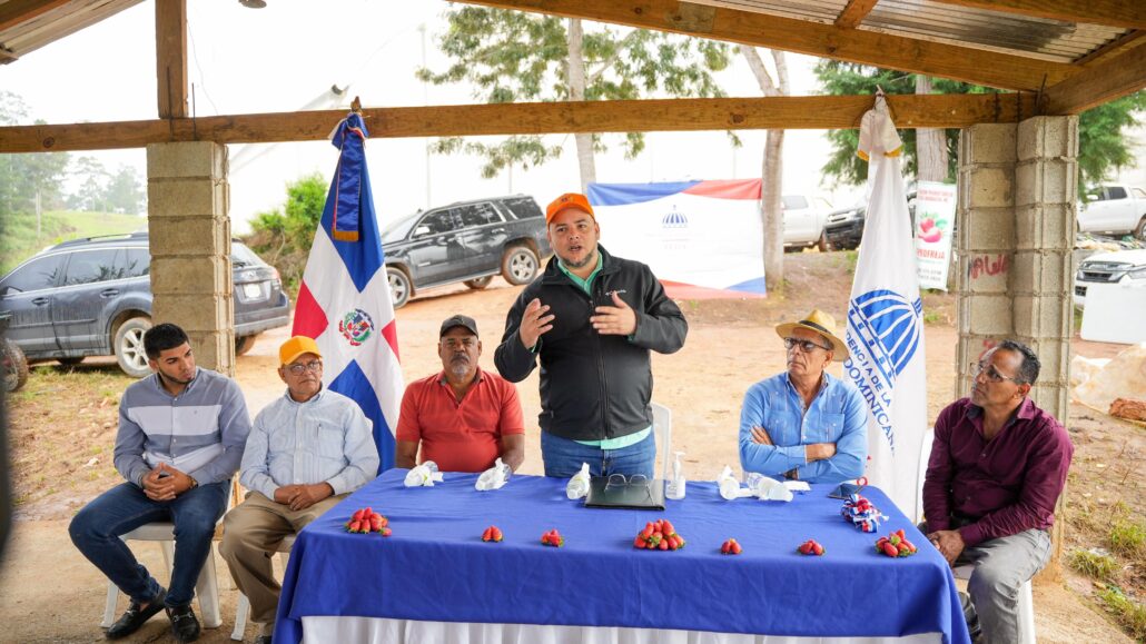 FEDA impulsa la producción de fresas en Jarabacoa con inversión de RD$10 millones