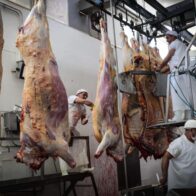 Exportaciones uruguayas aumentan un 5 % en noviembre y llegan a 1.025 millones de dólares
